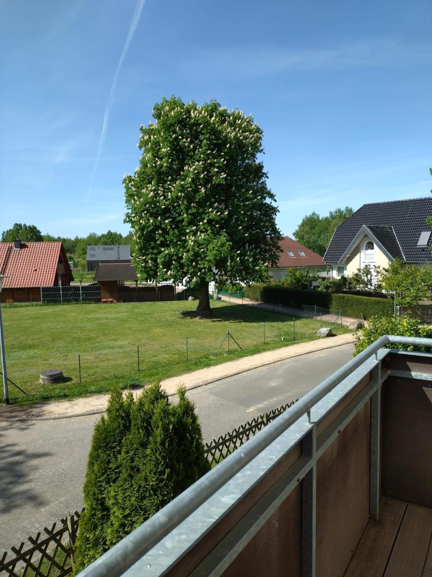 Ferienhaus Rechlin See エクステリア 写真